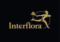 Interflora Primary Gold on Black RGB